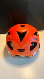Fietshelm kleuter, Ophalen, Gebruikt, Alpina, Jongen of Meisje