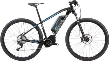 Zannata Z 29 e beschikbaar voor biedingen