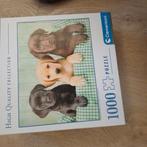 Puppy puzzel 1000st, Enlèvement, Comme neuf