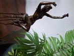 Bronzen barkruk voor dames 34 cm hoog, Antiek en Kunst, Ophalen of Verzenden, Brons