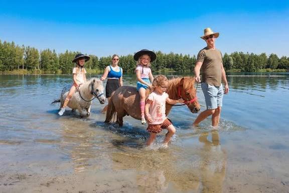 Vakantieverblijf te PonyparkCity Nederland, Vacances, Vacances | Vacances en voiture, Chalet, Bungalow ou Caravane, Parc de loisirs