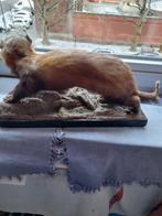 Décoration LOUTRE 30cm, Enlèvement