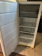 diepvris    brugge, Elektronische apparatuur, Vriezers en Diepvrieskisten, Ophalen of Verzenden, Zo goed als nieuw