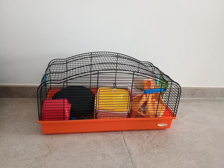 Kooi voor hamster met accessoires, Dieren en Toebehoren, Knaagdieren en Konijnen | Hokken en Kooien, Gebruikt, Kooi, Minder dan 60 cm