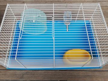 Cavia Kooi met drikpipet voerbakje en looprad beschikbaar voor biedingen