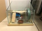 kleine glazen hamsterkooi met toebehoren, Comme neuf, Enlèvement, Cage, Moins de 60 cm