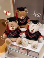 Afstudeerbeer Knuffel – Dr. Bear Cartoon Pop, Drie Kleuren, Ophalen of Verzenden, Nieuw