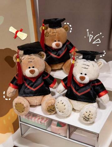 Afstudeerbeer Knuffel – Dr. Bear Cartoon Pop, Drie Kleuren beschikbaar voor biedingen
