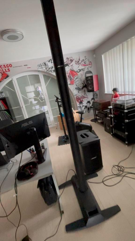 Bose L1 model 2 system avec bass module B2, Muziek en Instrumenten, Versterkers | Keyboard, Monitor en PA, Zo goed als nieuw, Ophalen