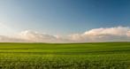 Landbouwgrond gezocht, Ophalen of Verzenden, 1 tot 5 ha, Pluimveebedrijf