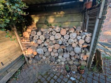 Droog brandhout  beschikbaar voor biedingen