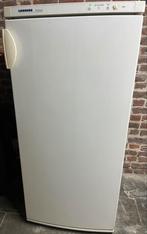 Grote diepvriezer Liebherr, Elektronische apparatuur, Vriezers en Diepvrieskisten, Ophalen, Zo goed als nieuw