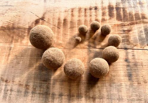 Neptunus ballen, Huis en Inrichting, Woonaccessoires | Overige, Nieuw, Ophalen of Verzenden