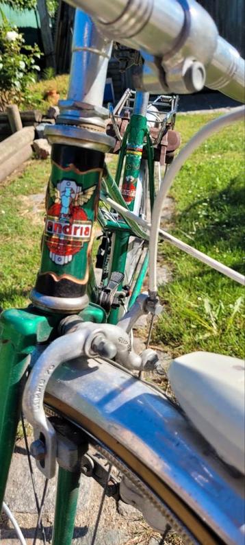 Flandria vintage green woman city race bike beschikbaar voor biedingen