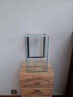 Terrarium voor wandelende takken, Ophalen, Zo goed als nieuw