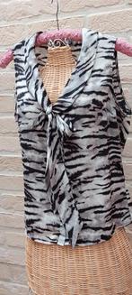 Bloesje maat 38 morgan, Kleding | Dames, Maat 38/40 (M), Overige kleuren, Zo goed als nieuw, Morgan