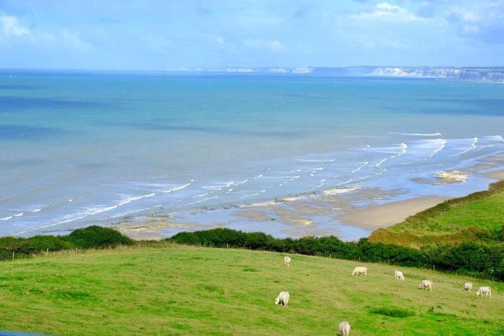 NORMANDIE,  Uniek domein 1Ha, aan ZEE én BOS, 8 pers., Vakantie, Vakantiehuizen | Frankrijk, Normandië, Picardie of Noord, Landhuis of Villa