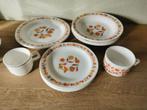 Arcopal servies Tulip, Ophalen of Verzenden, Zo goed als nieuw, Bord(en)