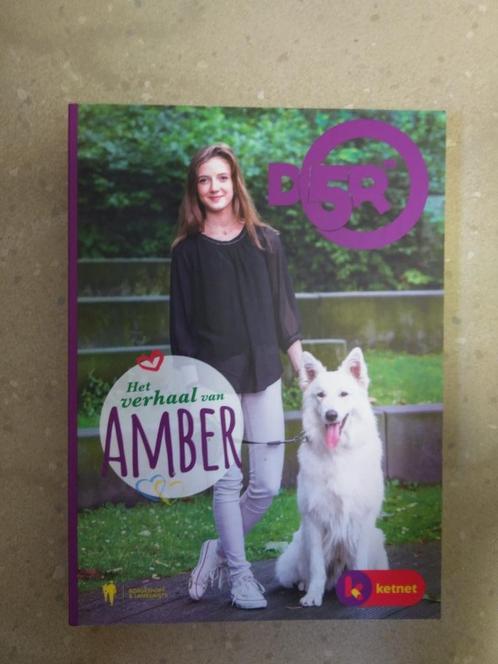 Boek Ketnet Het verhaal van Amber (de Vijver), Boeken, Kinderboeken | Jeugd | 10 tot 12 jaar, Zo goed als nieuw, Ophalen of Verzenden