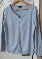 Prachtig licht blauw vestje large., Kleding | Dames, Truien en Vesten, Blauw, Maat 42/44 (L), Ophalen of Verzenden, Tex