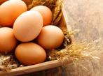 œufs de poules élevées en plein air (biologiques) à vendre