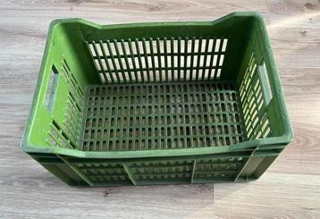 Plastiek bak - krat beschikbaar voor biedingen