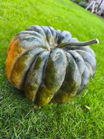 Muskaat pompoenen te koop, Enlèvement