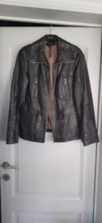 lederen jas, Kleding | Dames, Bruin, Maat 42/44 (L), Gedragen, Ophalen