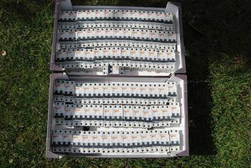 Merlin Gerin Tweepolige zekeringen 10-16A/6Ka, Curve B en C beschikbaar voor biedingen