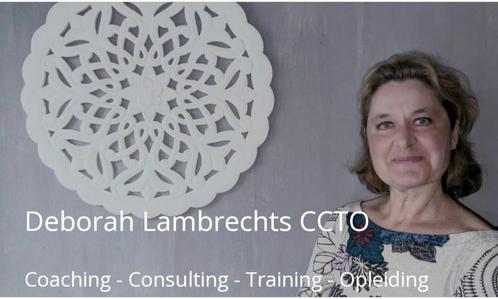 LOOPBAANCOACHING met VDAB loopbaancheques, Vacatures, Vacatures | Overige Vacatures