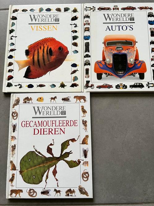 Wondere wereld van de auto's, vissen, gecamoufleerde dieren, Livres, Livres pour enfants | Jeunesse | Moins de 10 ans, Utilisé