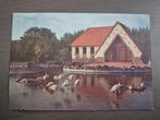 Meli Park postkaart "flamingo's", Verzamelen, Ophalen of Verzenden, Zo goed als nieuw