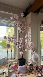 Zijde boom, Ophalen, Nieuw