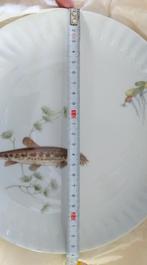 12 assiettes motif poissons  23,5 cm, Comme neuf, Autres styles, Enlèvement, Assiettes(s)