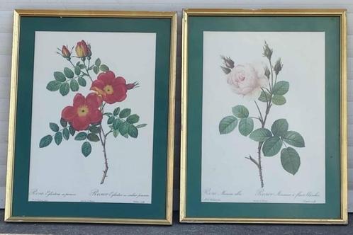 2 lithographie rosier, Antiek en Kunst, Kunst | Litho's en Zeefdrukken, Ophalen of Verzenden