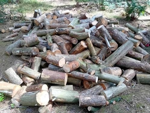 vogelkers en den, Tuin en Terras, Brandhout, Blokken, Overige houtsoorten, 6 m³ of meer, Ophalen