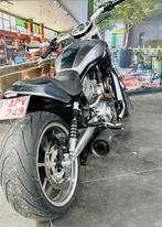Harley VRod muscle, Motos, Particulier