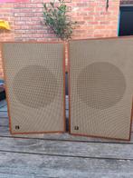 Luidsprekers Dual, Audio, Tv en Foto, Ophalen, Gebruikt, Minder dan 60 watt