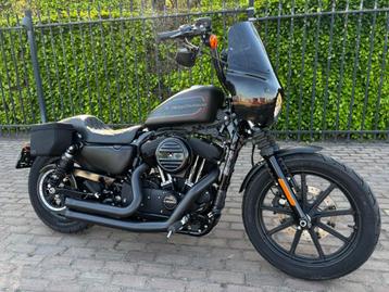 Harley davidson Iron 1200 beschikbaar voor biedingen
