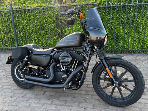 Harley davidson Iron 1200, Motoren, Motoren | Harley-Davidson, Bedrijf, Chopper, meer dan 35 kW, 2 cilinders, Ophalen