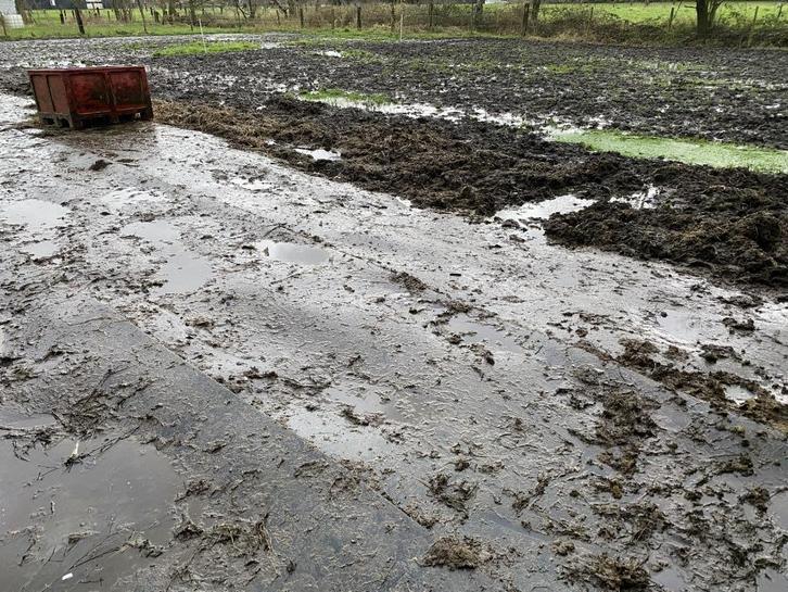 slijk beu/rubbermatten leggen in paddock, Dieren en Toebehoren, Stalling en Weidegang, Opfok, Stalling, Weidegang, Accessoires