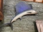 Marlin model taxidermie jaren ‘70, Verzamelen, Ophalen, Gebruikt