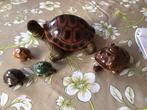 Verzameling Schildpadden, Ophalen