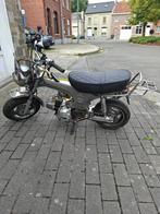 dax skyteam 50cc, Ophalen, Gebruikt, Overige modellen, Klasse B (45 km/u)