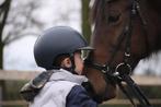 11 jarige D pony merrie, Dieren en Toebehoren, B, Ruin, Gechipt, 11 jaar of ouder