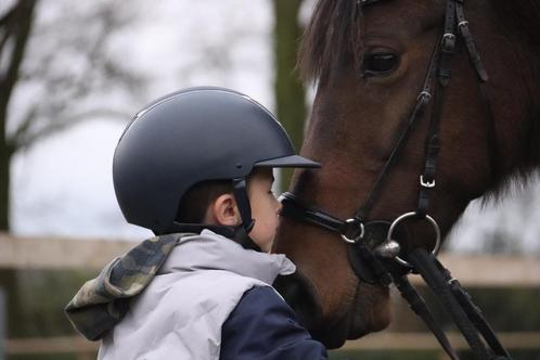 11 jarige D pony merrie, Dieren en Toebehoren, Pony's, Ruin, B, D pony (1.37m tot 1.48m), Recreatiepony, 11 jaar of ouder, Gechipt