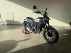Ducati Scrambler 800 Dark, Motos, Naked bike, 2 cylindres, Plus de 35 kW, 803 cm³