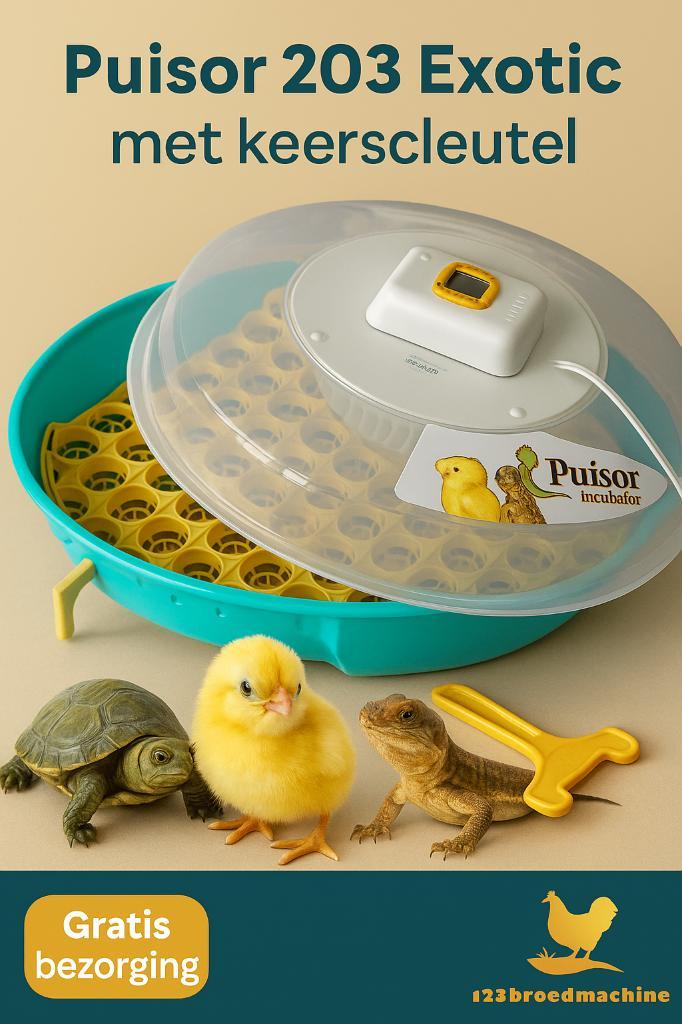 Reptielen eieren? Exotic Extra 203 (Nieuw), Dieren en Toebehoren, Reptielen en Amfibieën | Toebehoren, Nieuw, Ophalen of Verzenden
