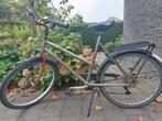 fiets Batavus, Ophalen, Batavus
