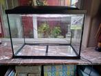 Aquarium 60l + éclairage, Enlèvement, Utilisé